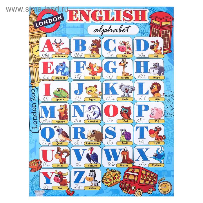 Плакат Английский алфавит А2