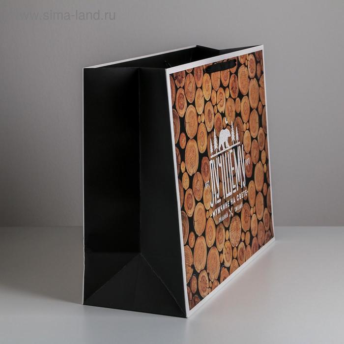 

Пакет ламинированный «Лучшему мужчине на свете, XL 49 × 40 × 19 см