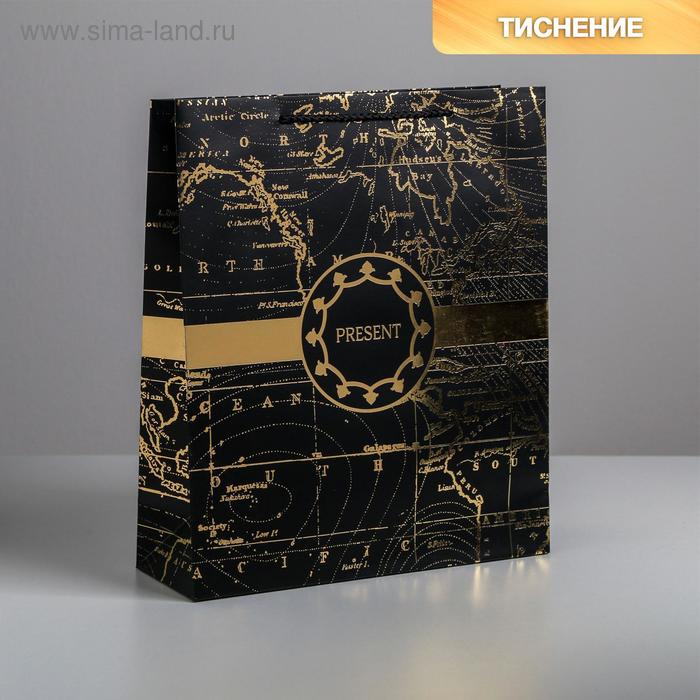 Пакет подарочный ламинированный вертикальный, упаковка, Gold present, M 26 х 30 х 9 см