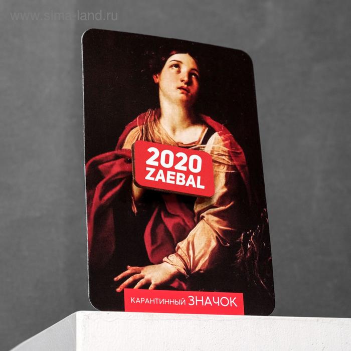 Значки Значок карантинный «2020»