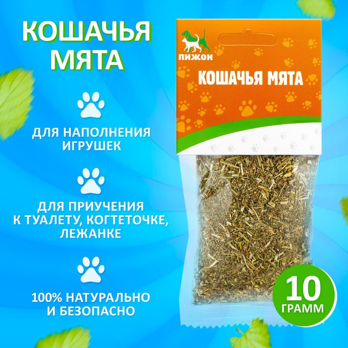 Кошачья мята Пижон 10 г 48₽