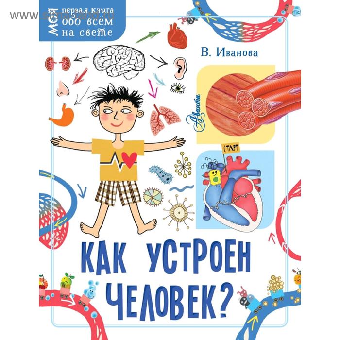 Как устроен человек?