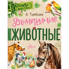 

Домашние животные