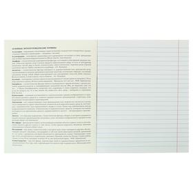 

Тетрадь предметная «Арт», 48 листов в линейку «Литература», обложка мелованный картон, матовая ламинация, блок офсет