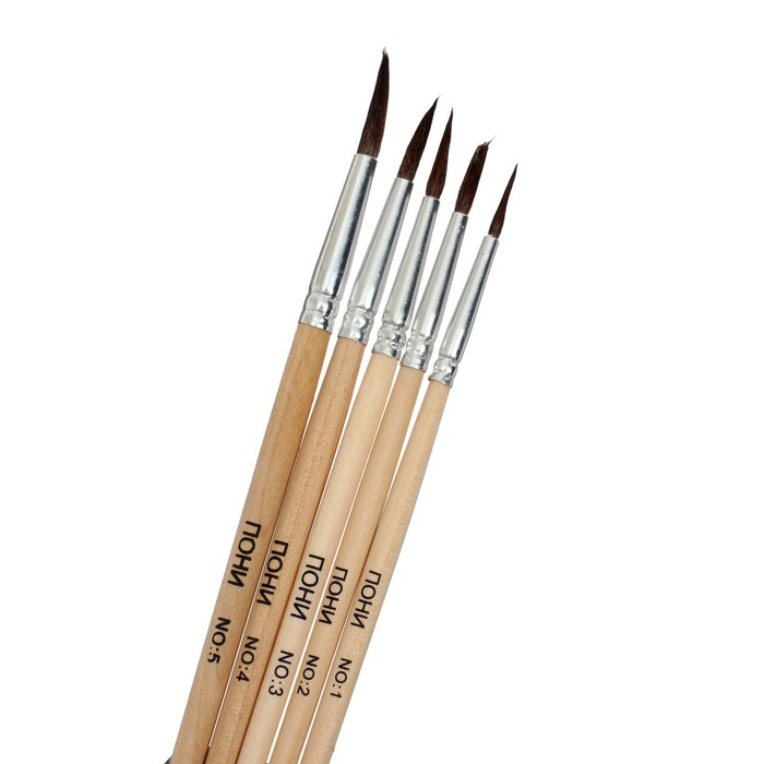 фото Набор кистей пони 5 штук (круглые:№1,2,3,4,5) с деревянными ручками на блистере calligrata