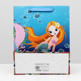 

Пакет ламинированный, 26 x 32 x 12 см