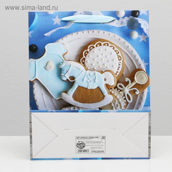 

Пакет ламинированный, 26 x 32 x 12 см