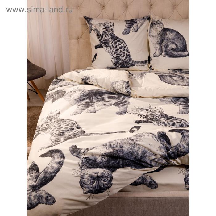 фото Постельное бельё 2сп ночь нежна «барсик» 175х215, 180х220, 70х70см -2 шт