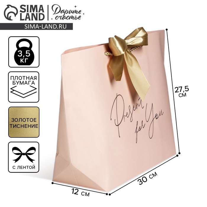 

Пакет подарочный, упаковка, «Present for you», 30 х 27.5 х 12 см