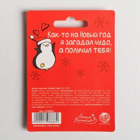 

Магнит «Загадал чудо»