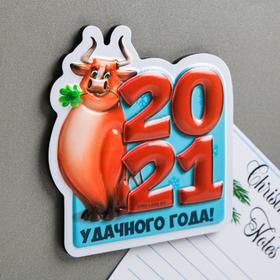 

Магнит объёмный «Удачного 2021 года!»