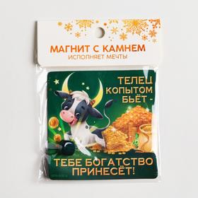

Магнит с камнем «Камень богатства»