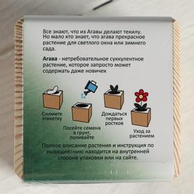 

Набор для выращивания P P "Агава Благородная"