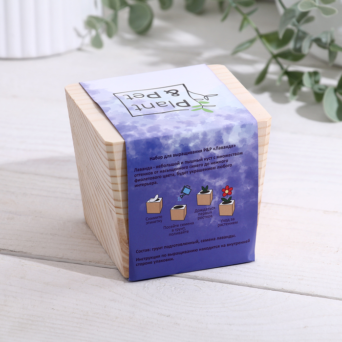 фото Набор для выращивания p&p "лаванда"