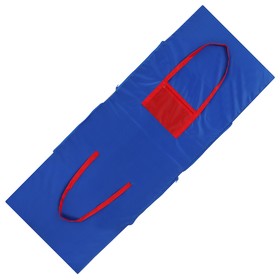 Сумка - коврик для спорта и отдыха 2 в 1, цвет синий Ош