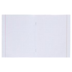 

Тетрадь 12 листов в клетку «Кактусы и ламы», обложка мелованный картон, блок офсет, МИКС