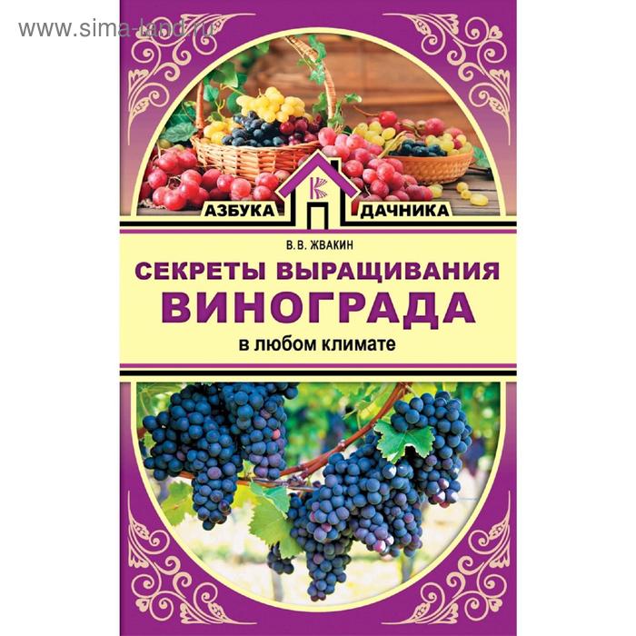 

Секреты выращивания винограда в любом климате