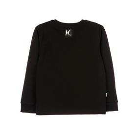 

Свитшот для мальчиков, рост 110-116 см, цвет чёрный