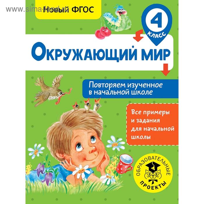 Окружающий мир. Повторяем изученное в начальной школе. 4 класс александрова эльвира ивановна методика обучения математике в начальной школе 4 класс система д б эльконина в в давыдова