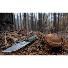 

Нож Morakniv Kansbol, нерж сталь, крепление Multi-Mount, 12645