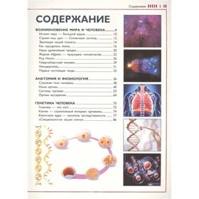 

Человек