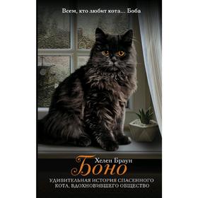 

Боно. Удивительная история спасенного кота, вдохновившего общество