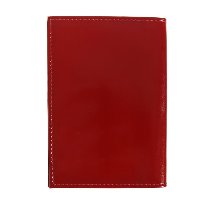 Обложка для автодокументов, цвет красный