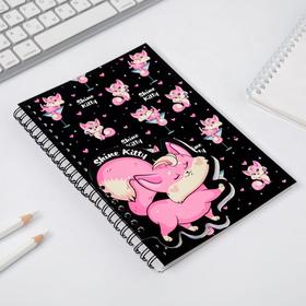 

Блокнот на спирали А5 и мини блокнот Shine Kitty