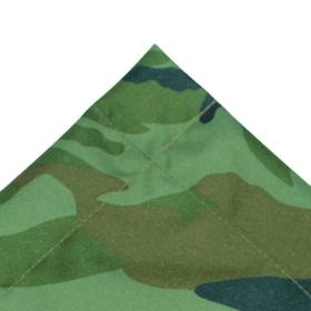 

Полог - тент 3.0x3.0 м, оксфорд 210, нато, Tbag