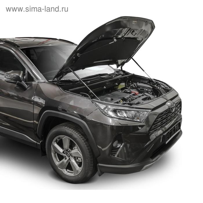 

Газовые упоры капота АвтоУпор для Toyota RAV 4 XA50 2019-н.в., 2 шт., UTORAV031