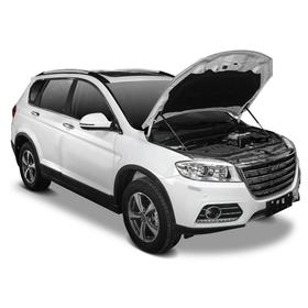 

Газовые упоры капота АвтоУпор для Haval H6 2014-2020, 2 шт., UHAH6011