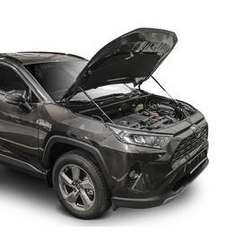 

Амортизаторы капота RIVAL, Toyota RAV4 2019-н.в., 2 шт., A.ST.5714.1