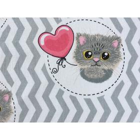 

Постельное бельё 1,5 Мур Мяу, 147х210, 150х210, 50х70см 1шт