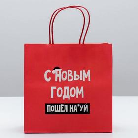 

Пакет подарочный «С Новым годом», 22 × 22 × 11 см