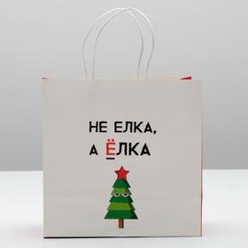 

Пакет подарочный «Не елка, а ёлка», 22 × 22 × 11 см