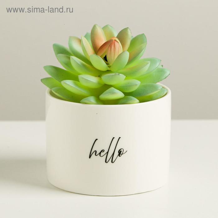 Керамический белый горшок Hello, 8 х 5,5 см