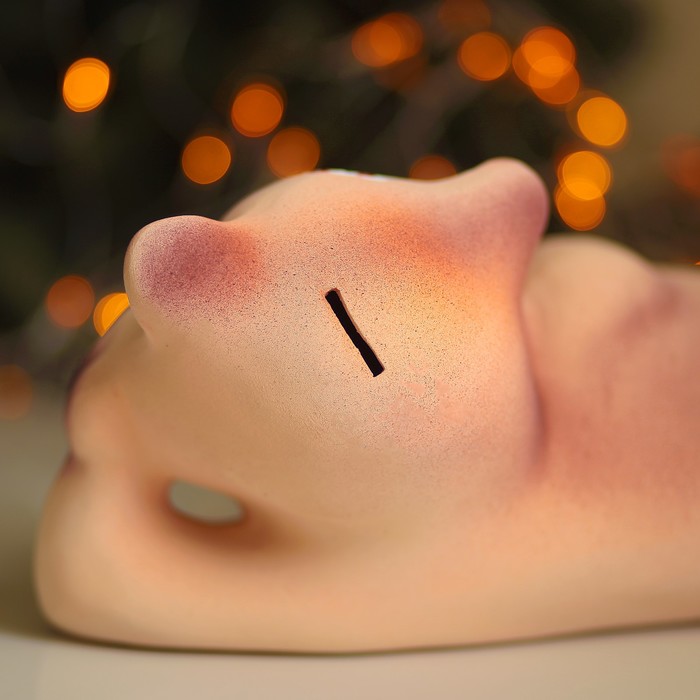 Копилка "Поросёнок: требую внимания, любви и понимания!"