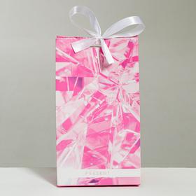

Пакет подарочный с лентой Present, 13 × 23 × 7 см