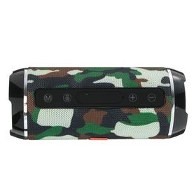 

Портативная колонка Accord SK1018MBK, microSD/USB/FM, Bluetooth 5.0, 2х5Вт,1200 мАч,камуфляж
