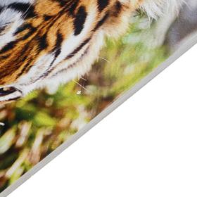 

Картина "На водопое" 30*40 см