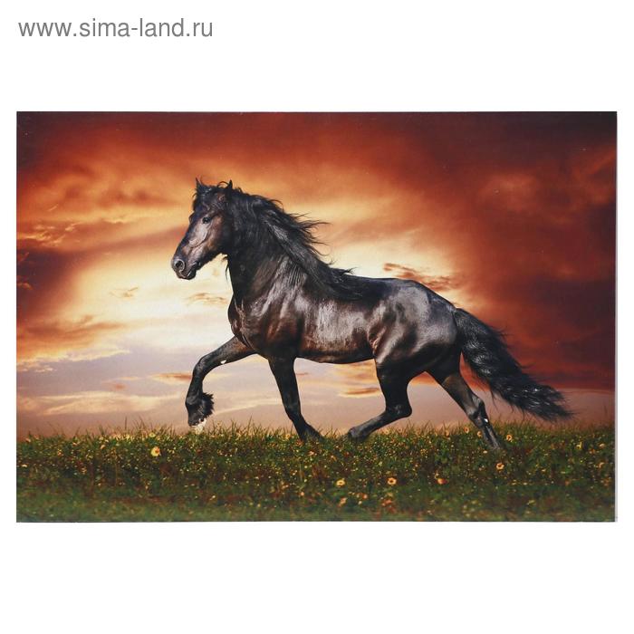Картины из дерева  Сима-Ленд Картина Лошадь 40*60 см