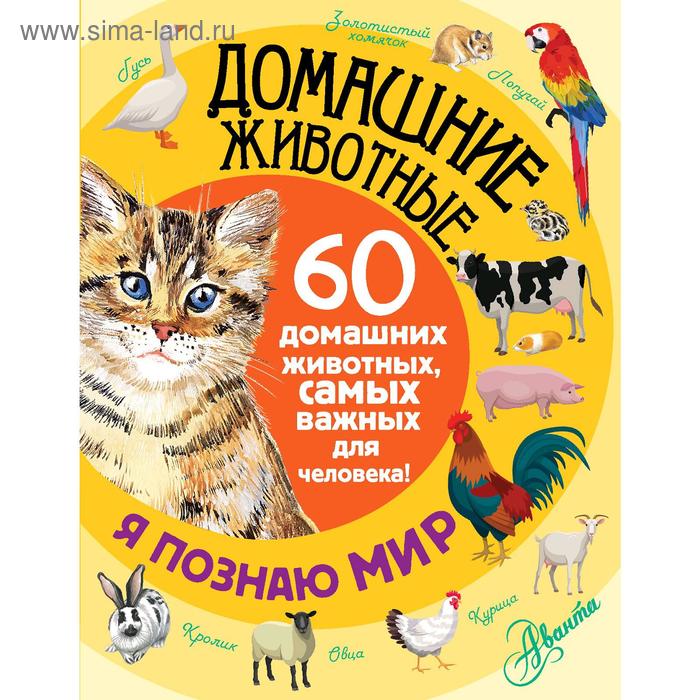 

«Домашние животные»