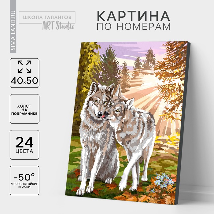 Картина по номерам на холсте с подрамником «Волки», 40 х 50 см