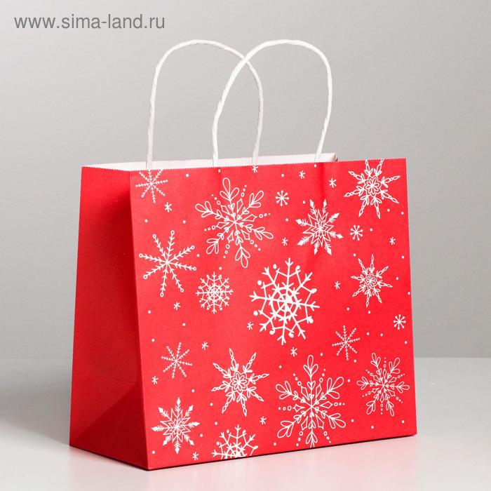 Пакет подарочный крафтовый «С Новым годом!», 22 × 25 × 12 см