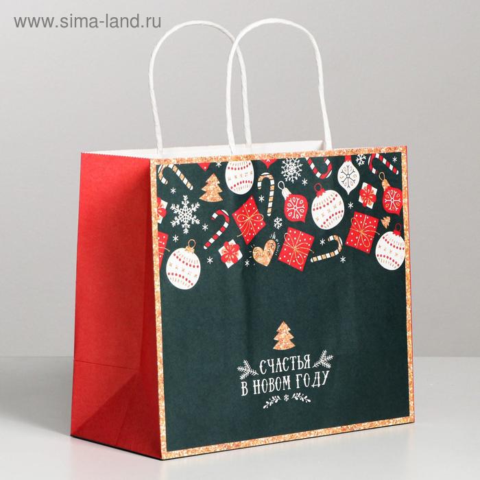 Пакет подарочный крафтовый «Счастья в Новом году», 22 × 25 × 12 см printio пакет 15 5x22x5 см счастья в новом году