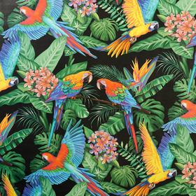 

Бумага упаковочная глянцевая «Тропические птицы», 70 × 100 см