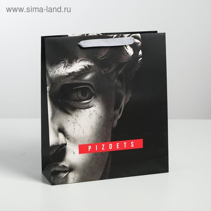 

Пакет ламинированный вертикальный Pizdets, M 26 × 30 × 9 см