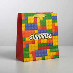 

Пакет ламинированный вертикальный Surprise, ML 23 × 27 × 11,5 см