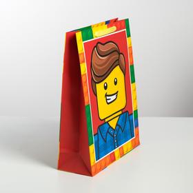 

Пакет ламинированный вертикальный Surprise, L 31 × 40 × 11,5 см