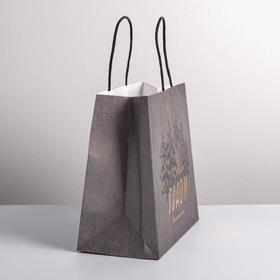 

Пакет подарочный крафтовый «Всё сбудется», 22 × 25 × 12 см